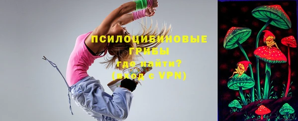 прущие грибы Абдулино