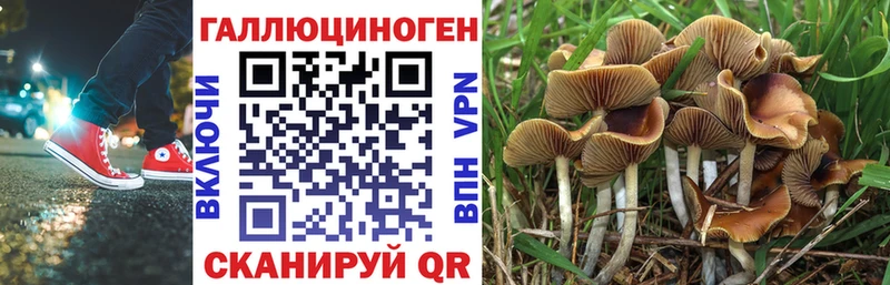 цены наркотик  Суздаль  Псилоцибиновые грибы Magic Shrooms 